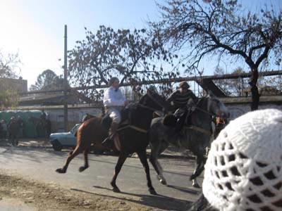 Argentina Buenos Aires Horse and cart in Caminito La Boca Stock Photo -  Alamy